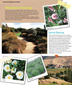Flourish waterwise gardens thumbnail Flourish waterwise gardens thumbnail